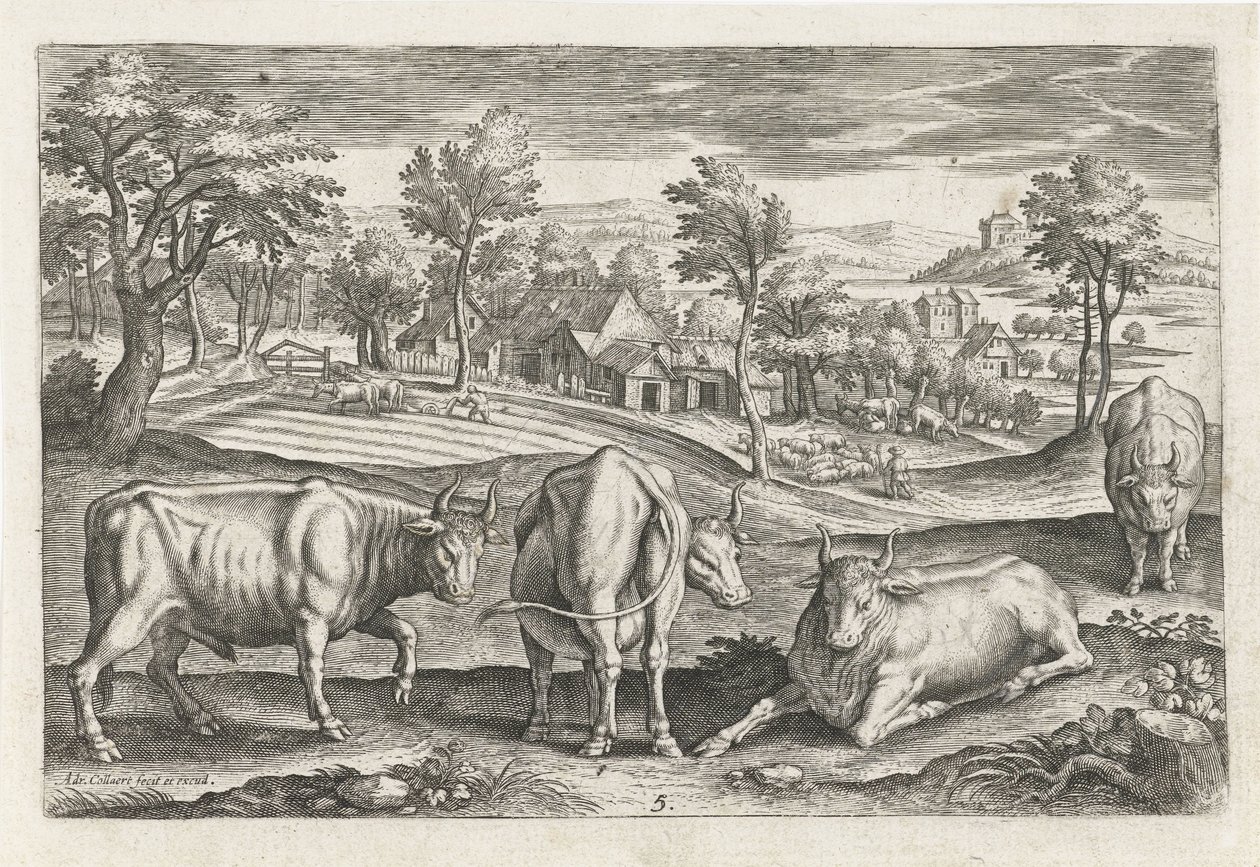 gado Animais de quatro patas (título da série) Animalivm Qvaddrvpedvm (título da série) de Adriaen Collaert