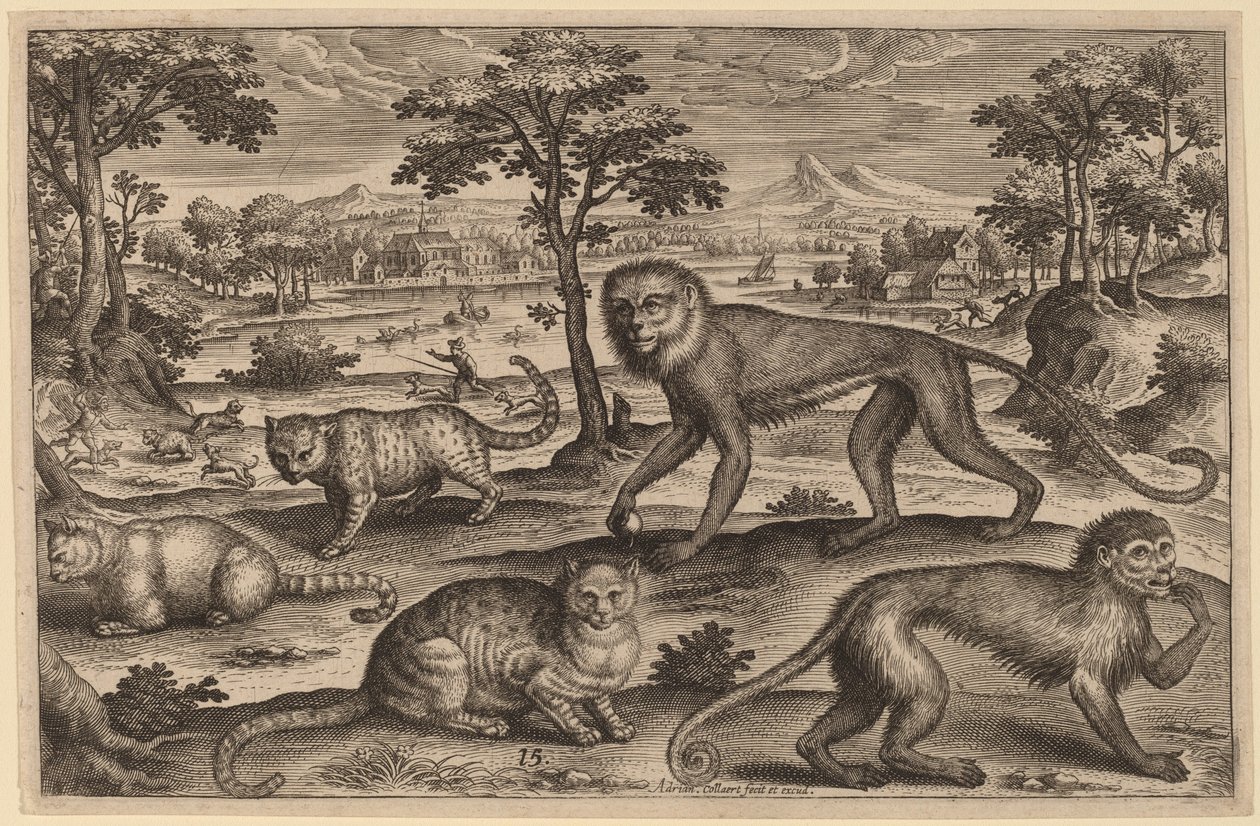 Três gatos e dois macacos de Adriaen Collaert
