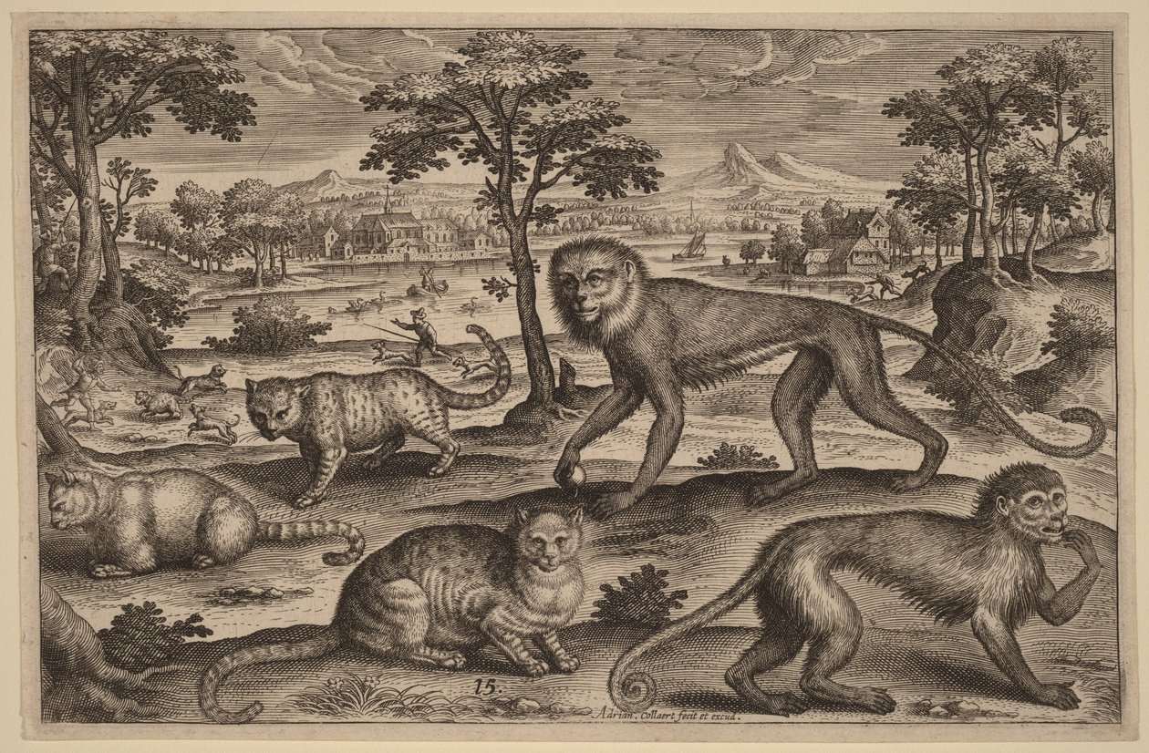 Três gatos e dois macacos de Adriaen Collaert
