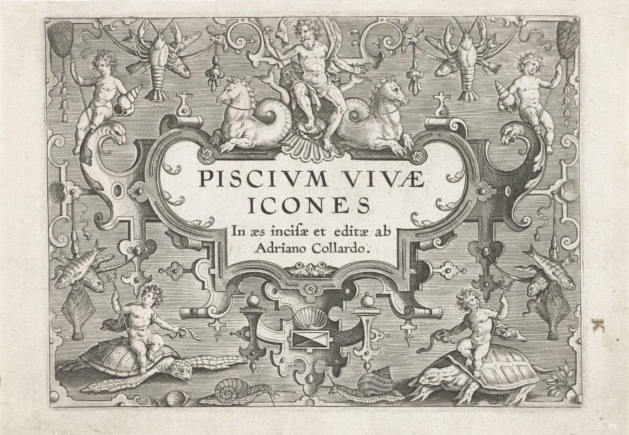 Estampa de título com criaturas do mar como ornamentos
Peixe (título da série)
Piscivm vivae icones (título da série) de Adriaen Collaert