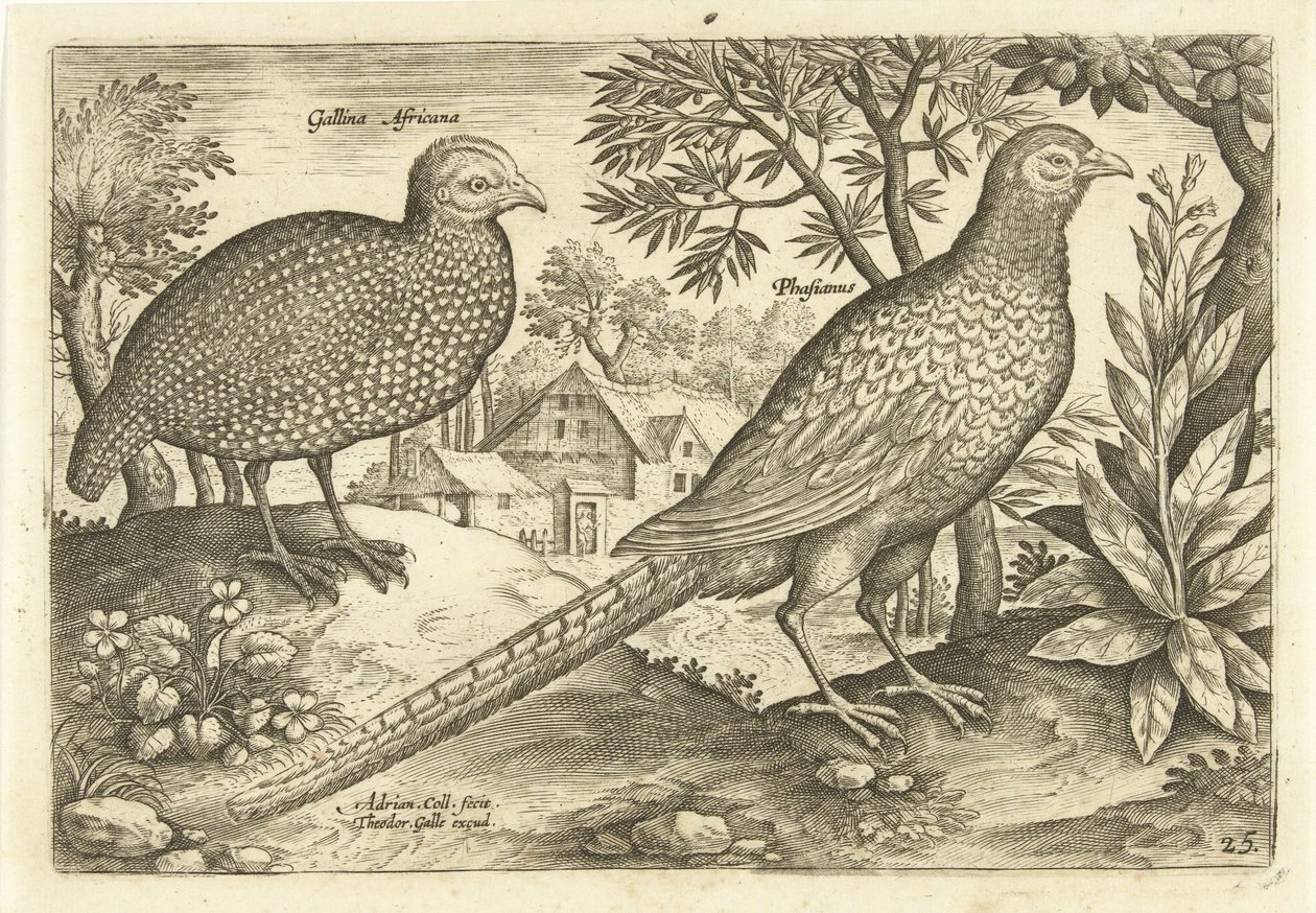 Duas galinhas em uma paisagem Avivm Vivae (título da série) Aves (título da série) de Adriaen Collaert