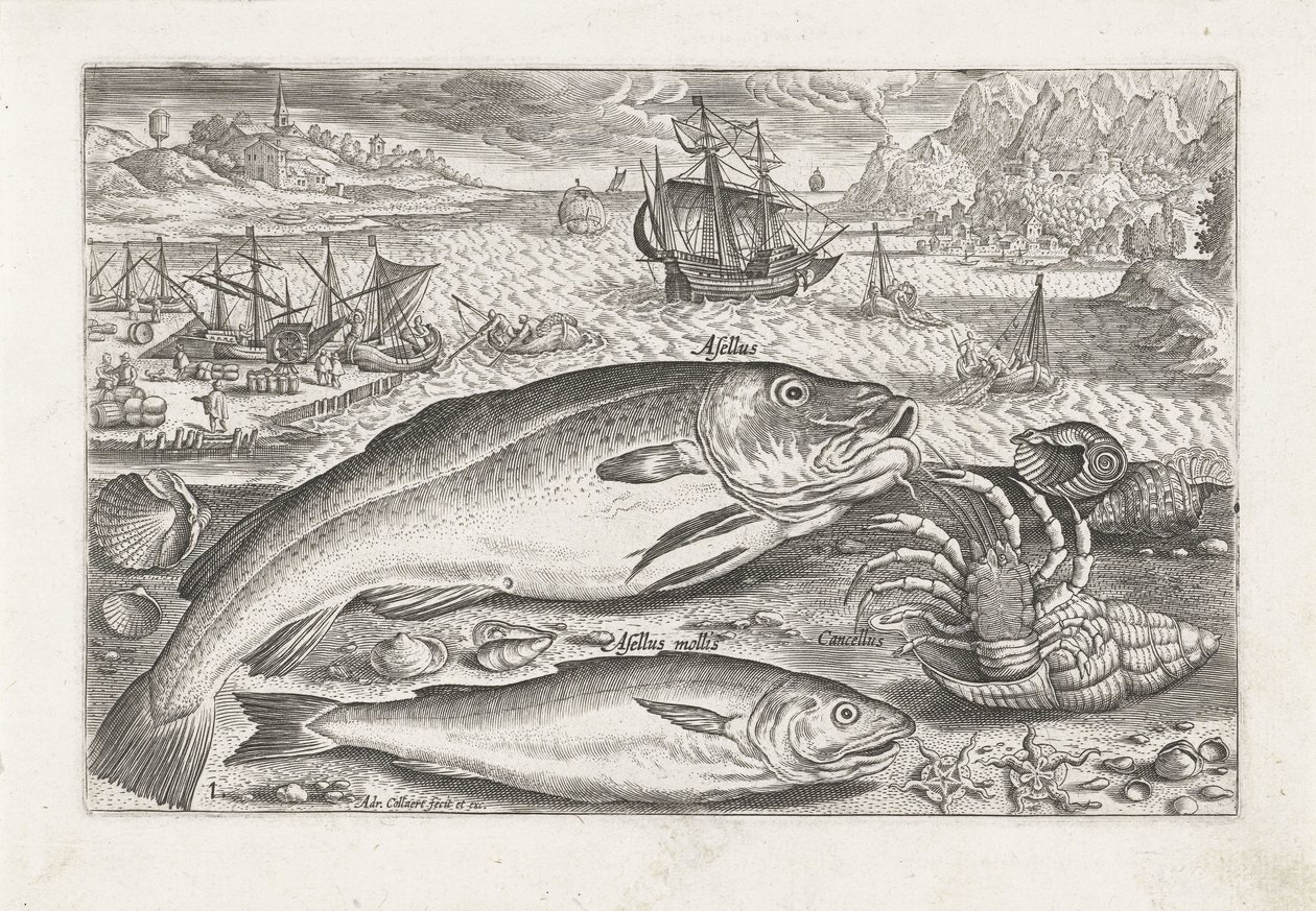 Dois peixes na praia Pesca (título da série) Ícones de Piscium vivae (título da série) de Adriaen Collaert