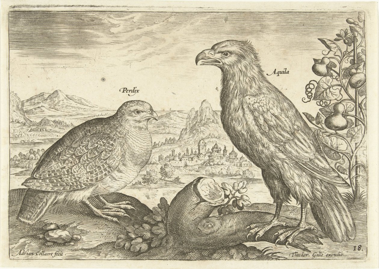 Dois pássaros numa paisagem
Avivm Vivae (título da série)
Pássaros (título da série) de Adriaen Collaert