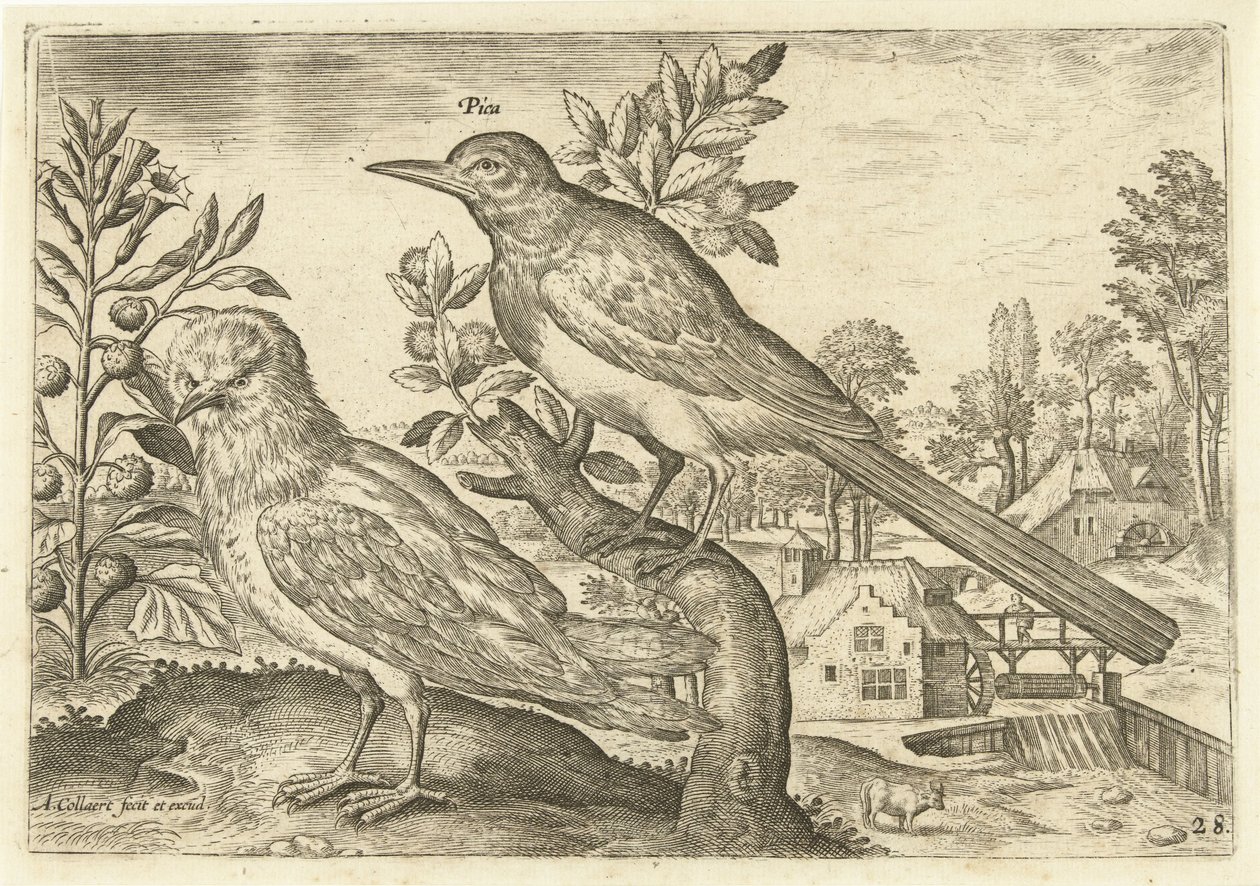 Dois pássaros em uma paisagem Aves (título da série) Avium Vivae (título da série) de Adriaen Collaert