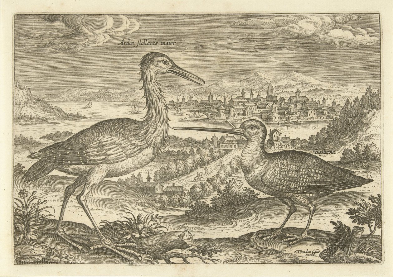 Dois pássaros em uma paisagem Aves (título da série) Avium vivae (título da série) de Adriaen Collaert
