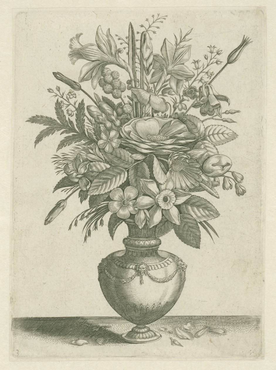 Vaso com flores, incluindo narcisos com trompete
Florilegium (título da série) de Adriaen Collaert