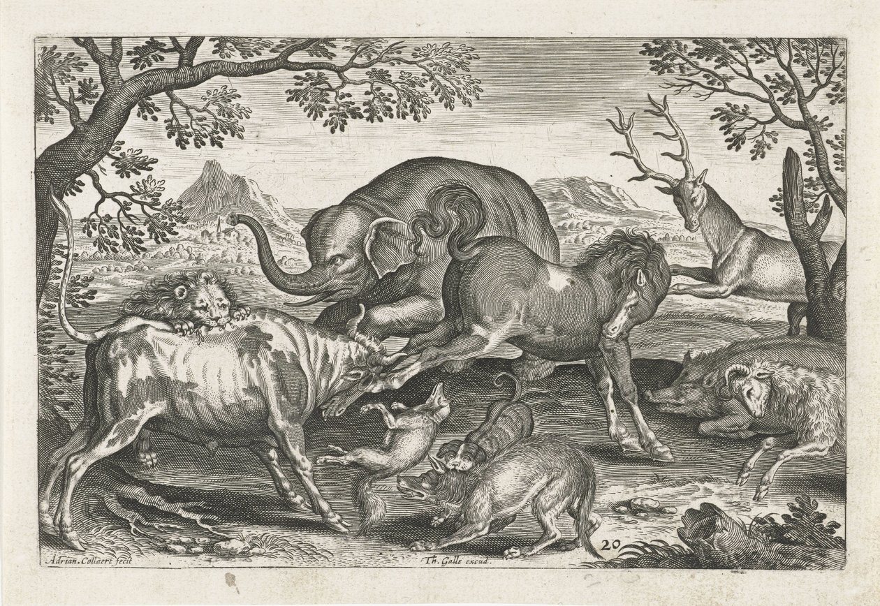 animais de luta Animais de quatro patas (título da série) Animalivm Qvaddrvpedvm (título da série) de Adriaen Collaert