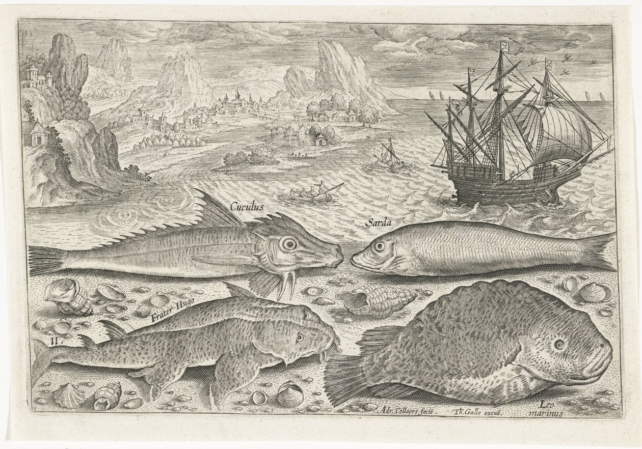 Quatro peixes na praia
Peixe (título da série)
Piscivm vivae icones (título da série) de Adriaen Collaert