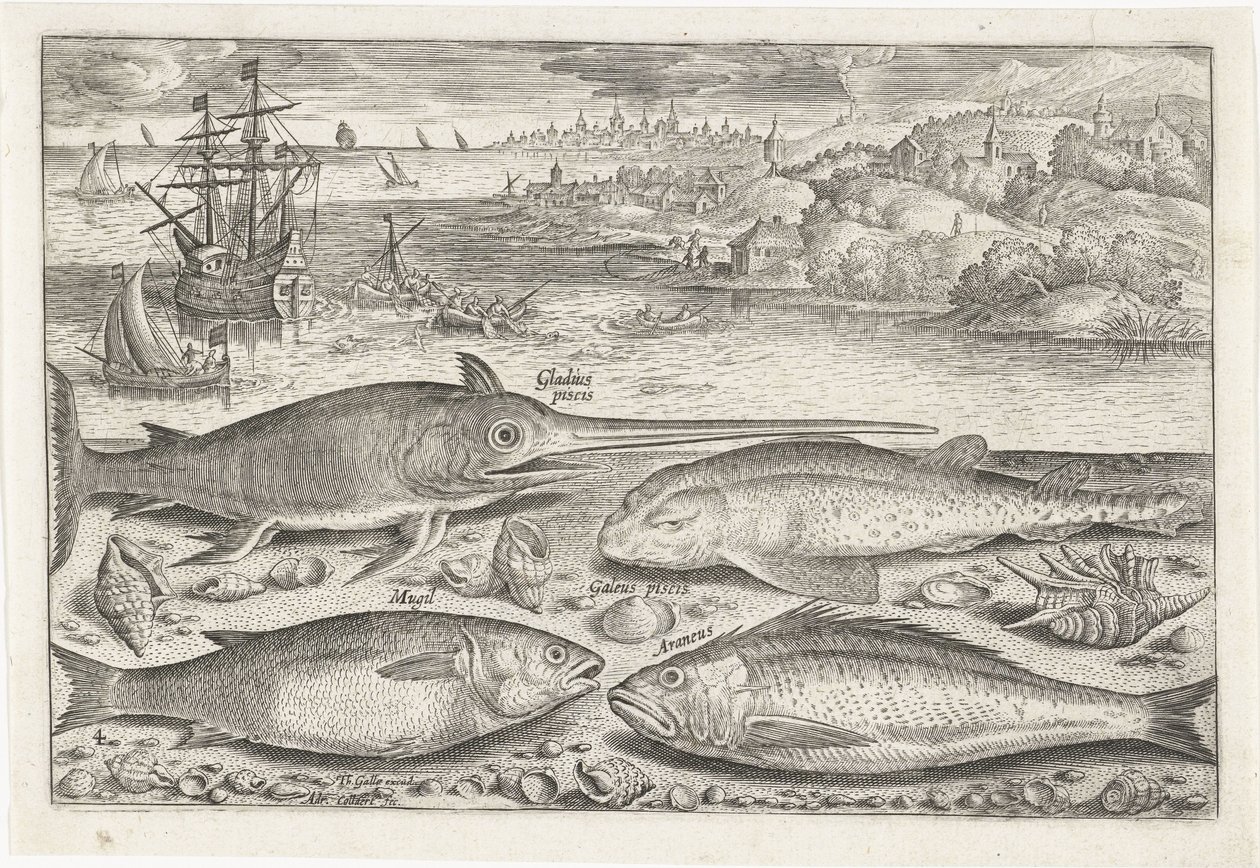 Quatro peixes na praia
Peixe (título da série)
Piscivm vivae icones (título da série) de Adriaen Collaert