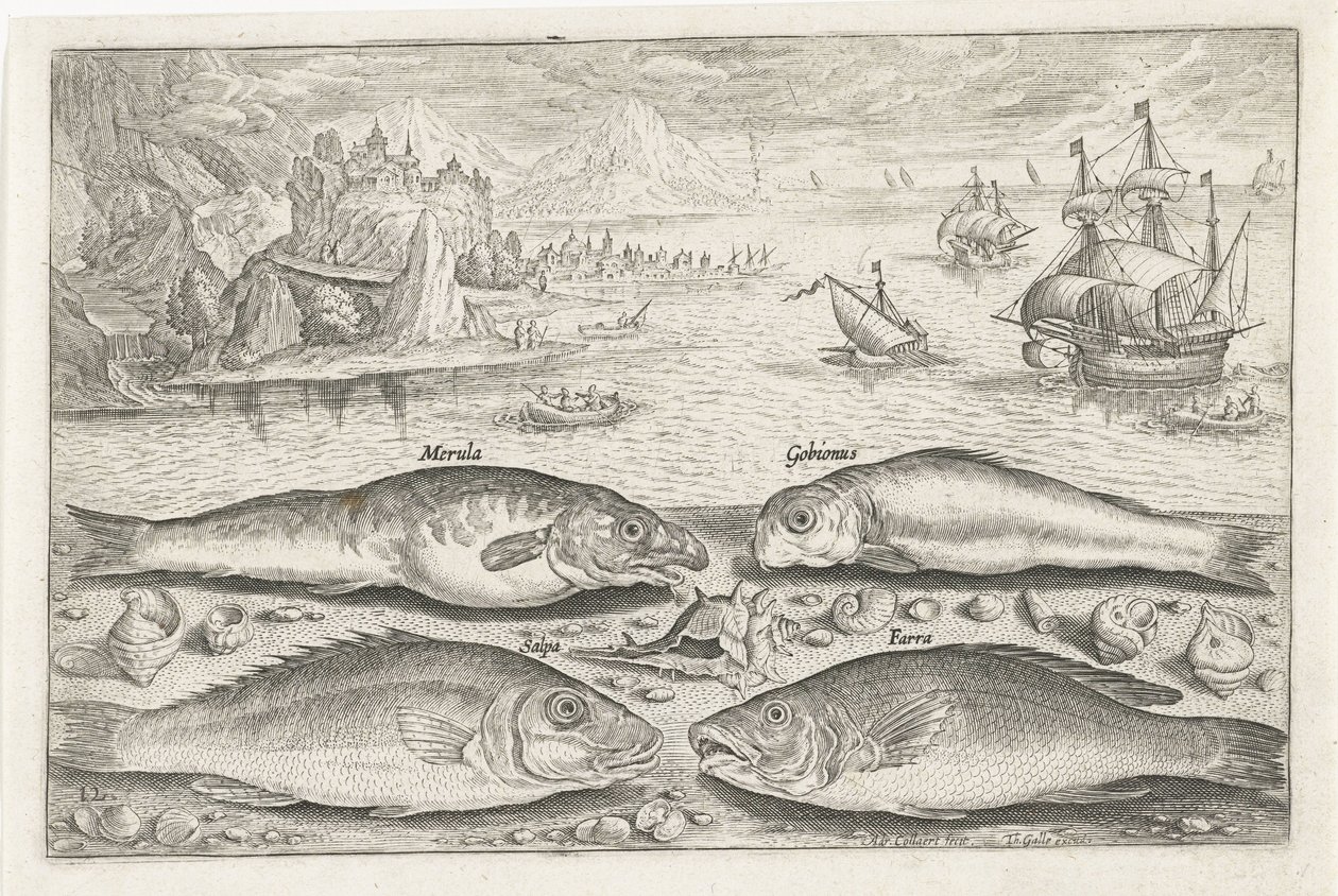 Quatro peixes na praia
Peixe (título da série)
Piscivm vivae icones (título da série) de Adriaen Collaert