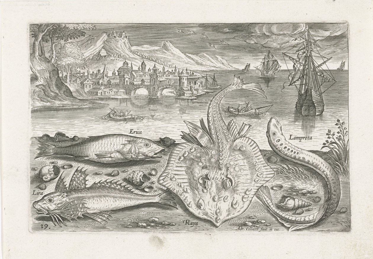 Quatro peixes na praia Pesca (título da série) Ícones de Piscium vivae (título da série) de Adriaen Collaert