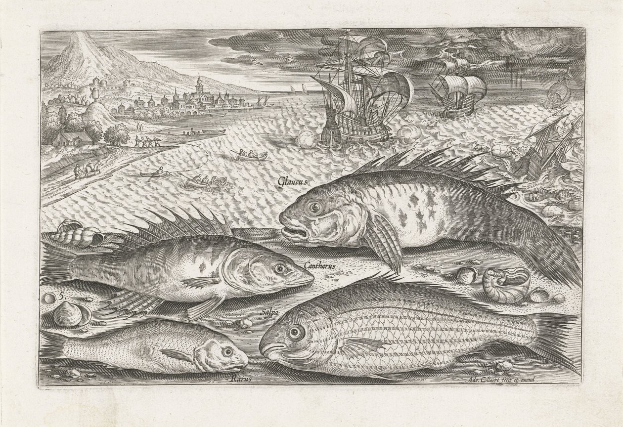 Quatro peixes na praia
Peixe (título da série)
Piscivm vivae icones (título da série) de Adriaen Collaert