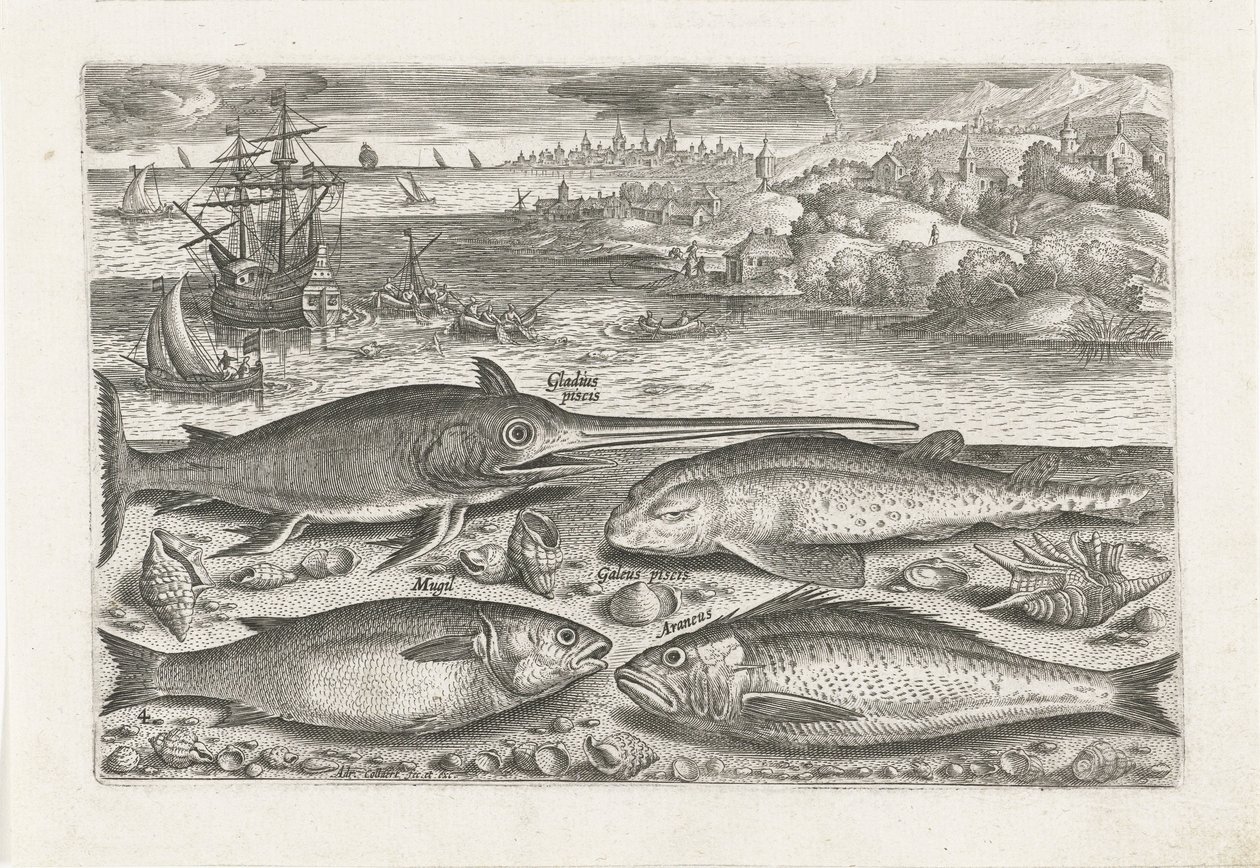 Quatro peixes na praia Pesca (título da série) Ícones de Piscium vivae (título da série) de Adriaen Collaert