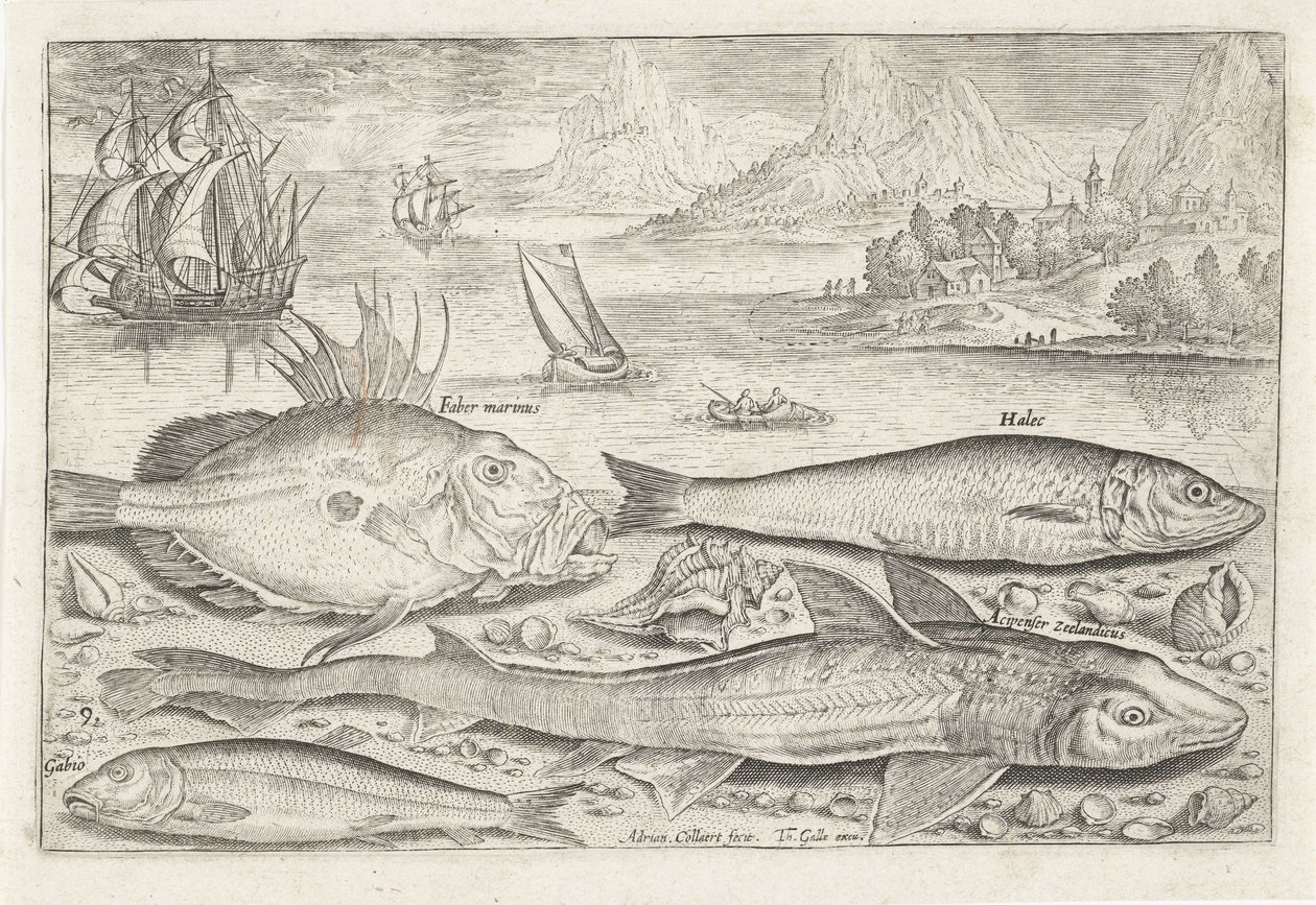 Quatro peixes na praia
Peixe (título da série)
Piscivm vivae icones (título da série) de Adriaen Collaert