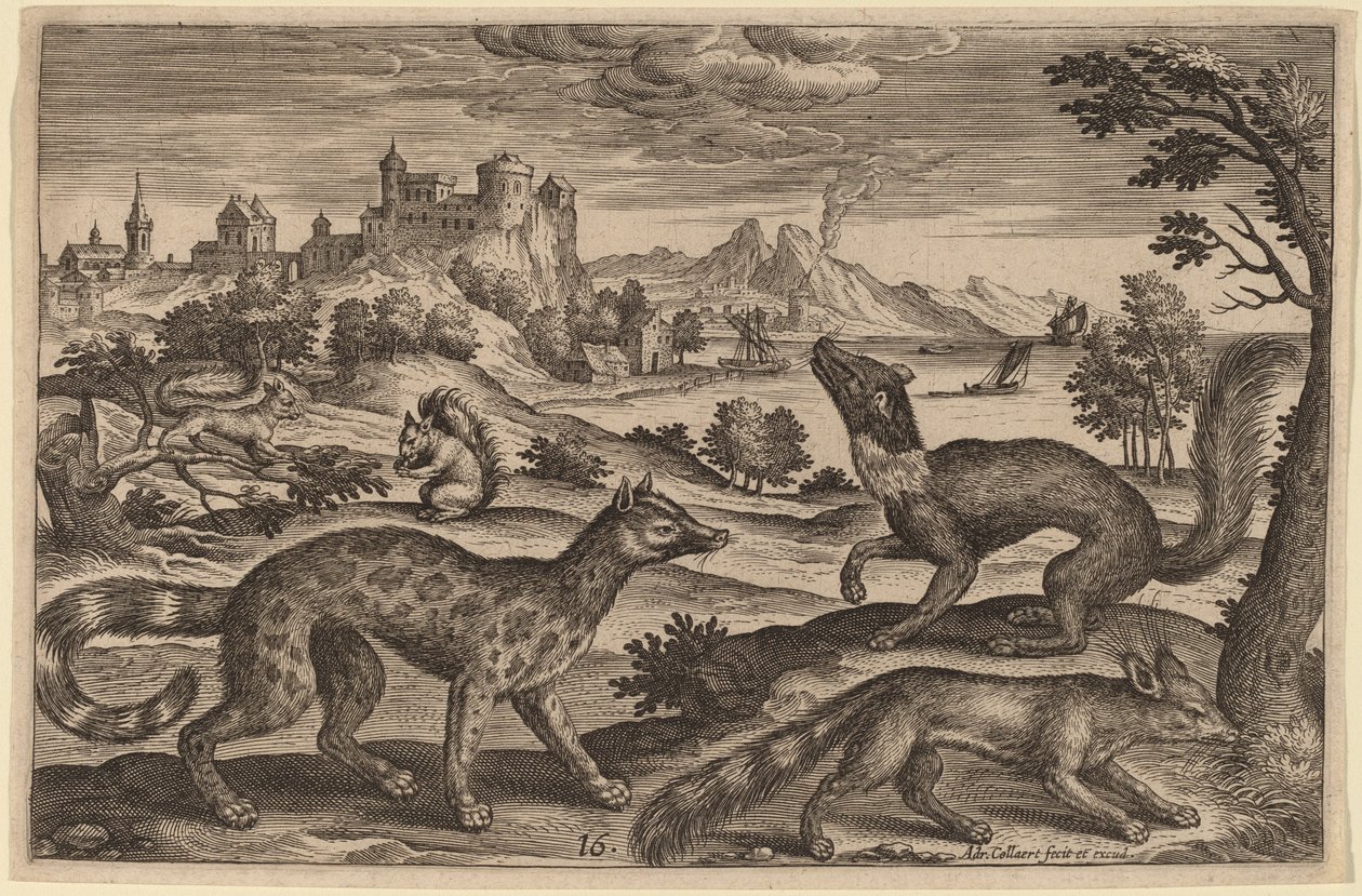 Doninhas e esquilos de Adriaen Collaert
