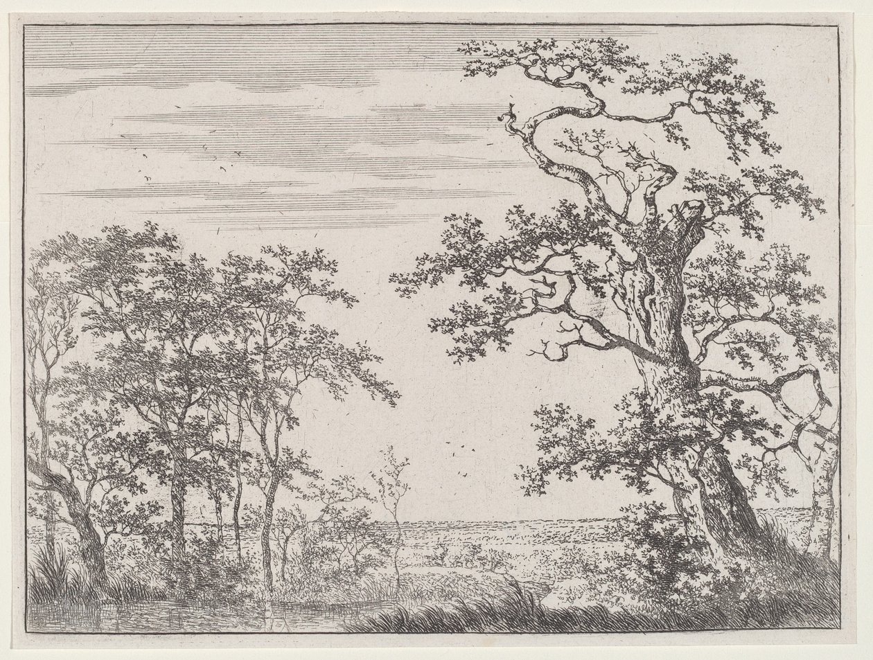 Paisagem com um riacho e uma árvore antiga de Adriaen Hendricks Verboom