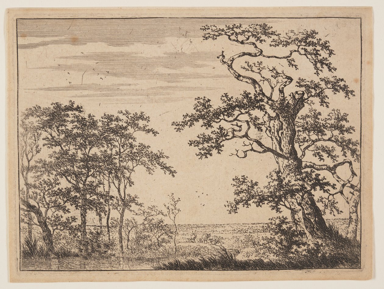 A lagoa de Adriaen Hendricksz. Verboom