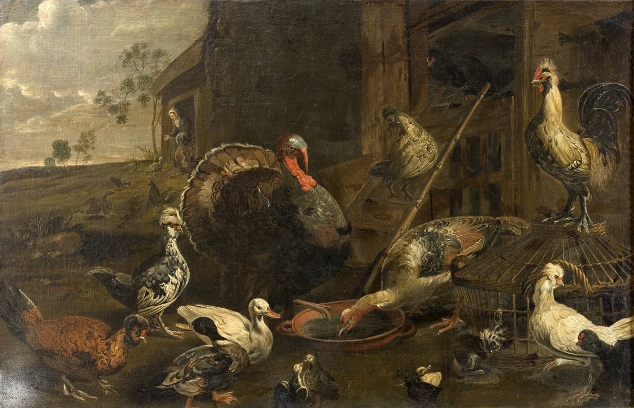 Galinhas, patos e um galo de peru de Adriaen van Utrecht