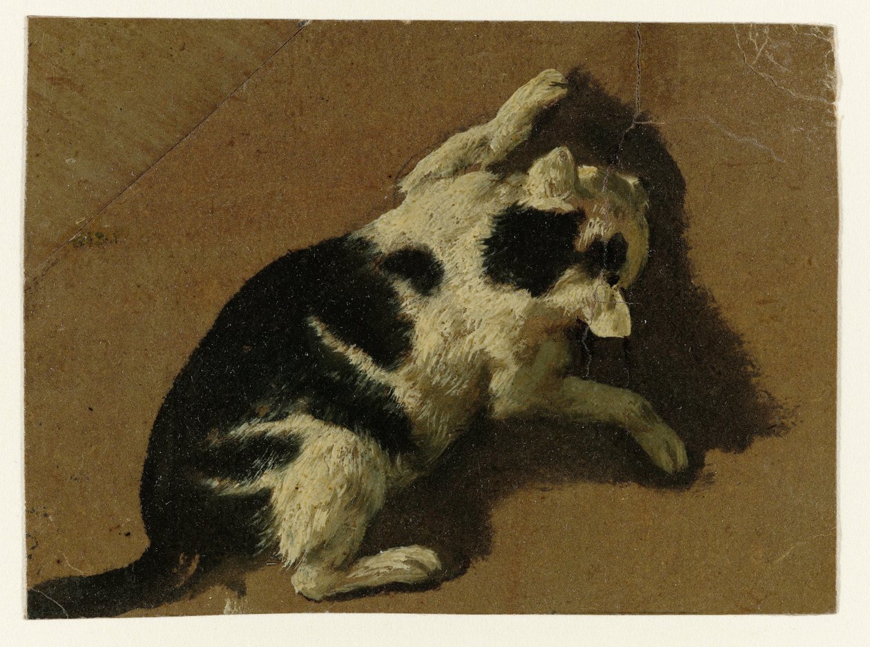 Gato brincando perto de uma parede de Adriaen van de Velde (attributed to)