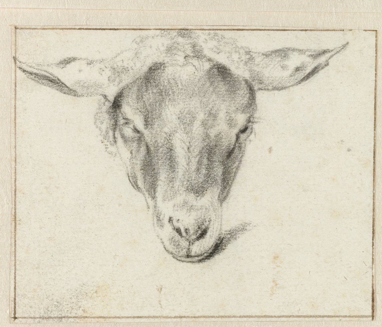 Cabeça de ovelha, de frente de Adriaen van de Velde (attributed to)