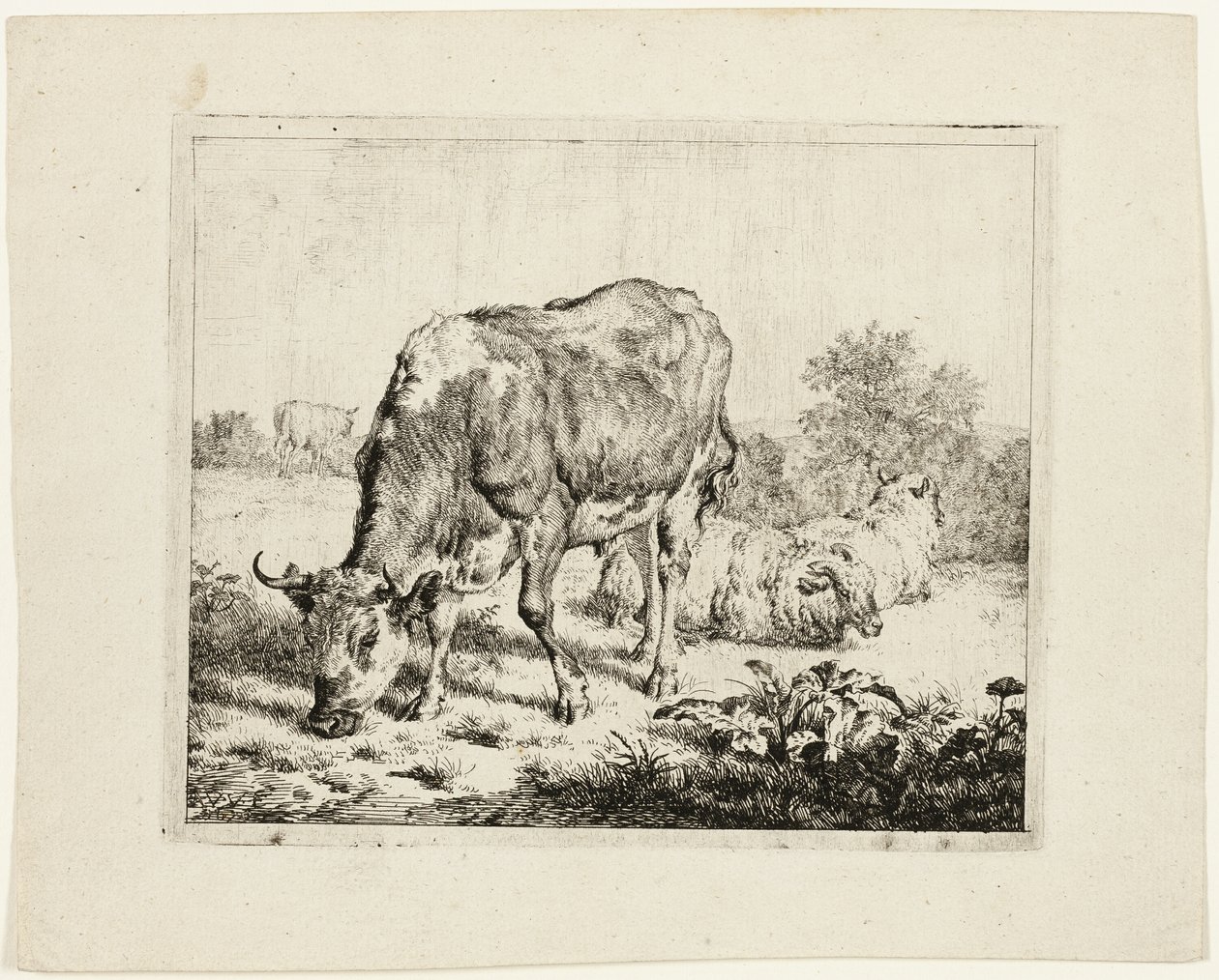 Touro pastando e três ovelhas de Adriaen van de Velde