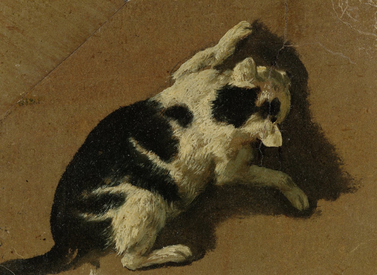 Gato brincando (desenho de pincel) de Adriaen van de Velde