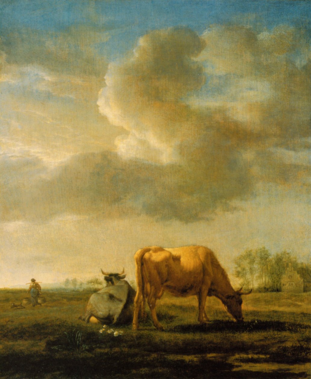 Vacas em um campo de Adriaen van de Velde