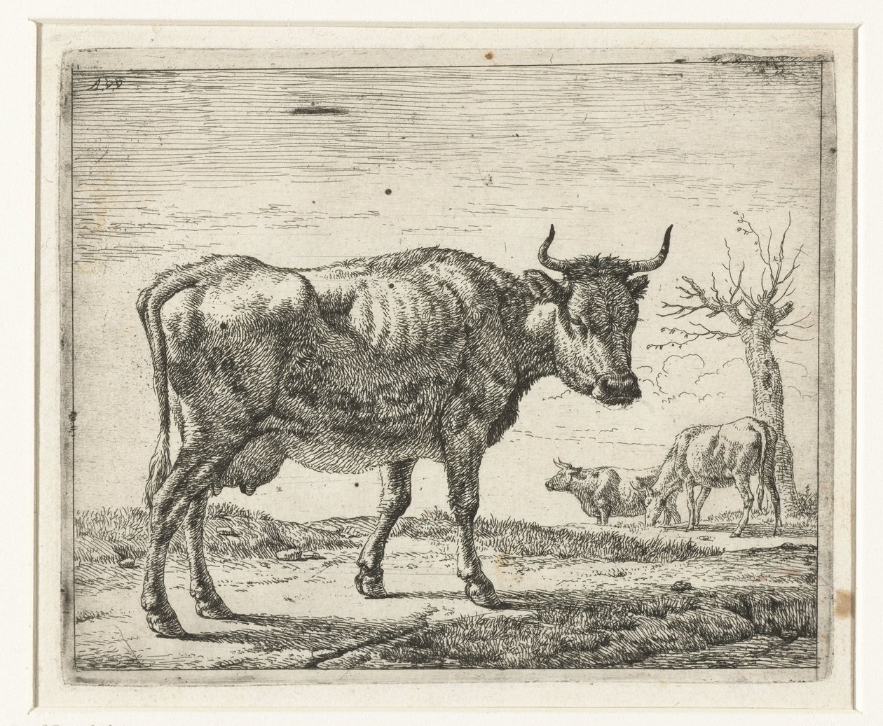 Três vacas
Vários animais (título da série) de Adriaen van de Velde