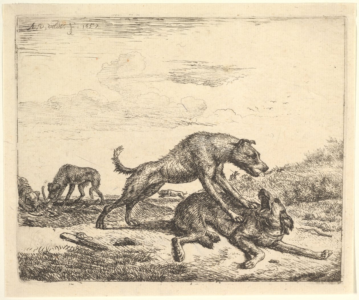Cães de Combate, de Animais Diferentes, 1657. de Adriaen van de Velde