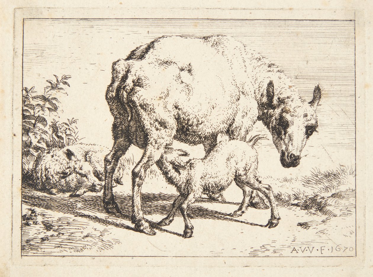 Ovelhas e dois cordeiros de Adriaen van de Velde