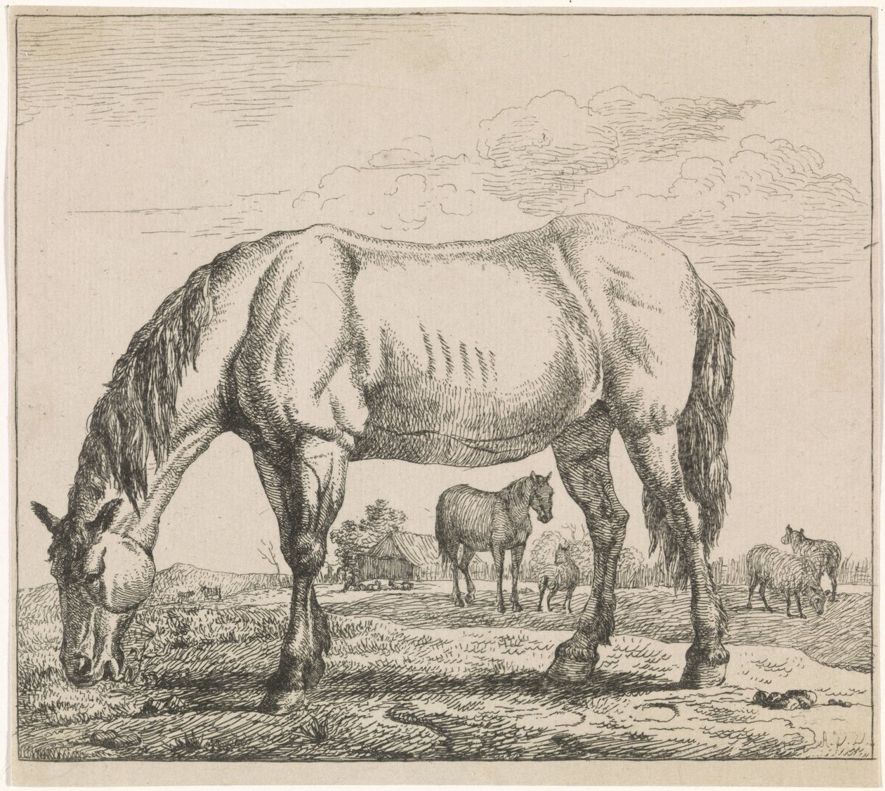 Cavalo de pasto
Bovinos (título da série) de Adriaen van de Velde