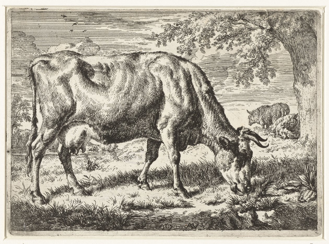 Vaca de pasto e duas ovelhas
Vacas e ovelhas (título da série) de Adriaen van de Velde
