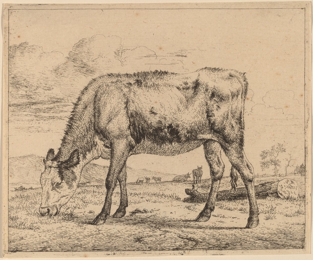 Bezerro pastando de Adriaen van de Velde