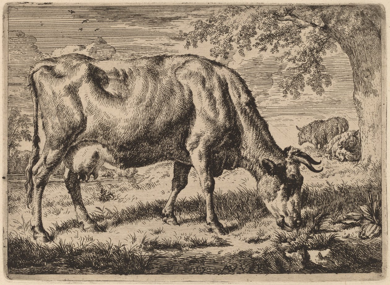 Grazing Cow with Two Sheep de Adriaen van de Velde