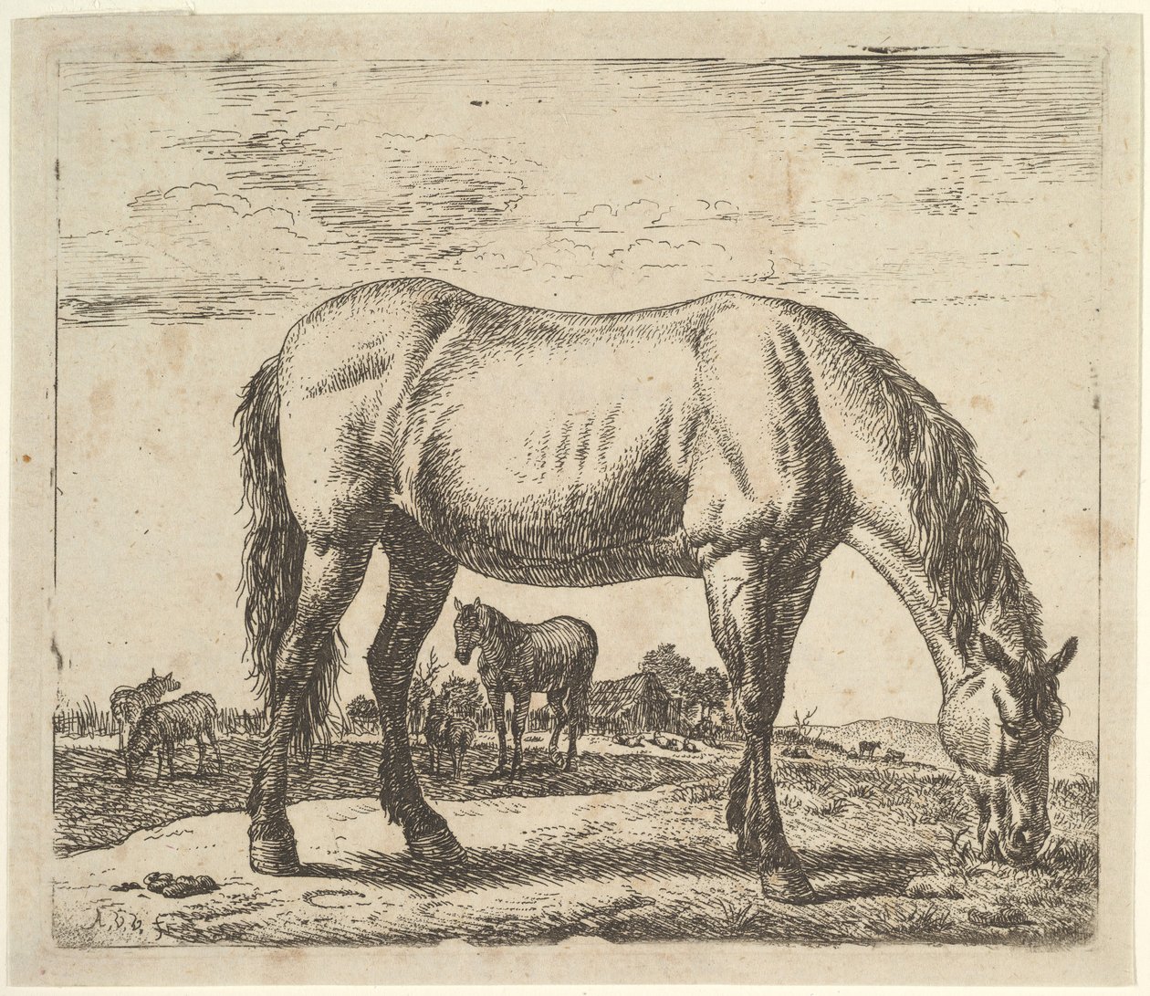 Cavalo pastando, de diferentes animais. de Adriaen van de Velde