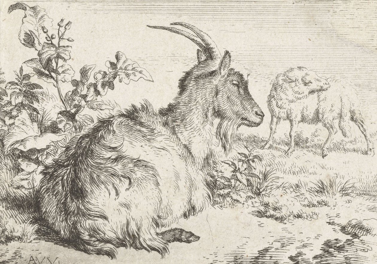 Cabra Deitada, 1670 de Adriaen van de Velde