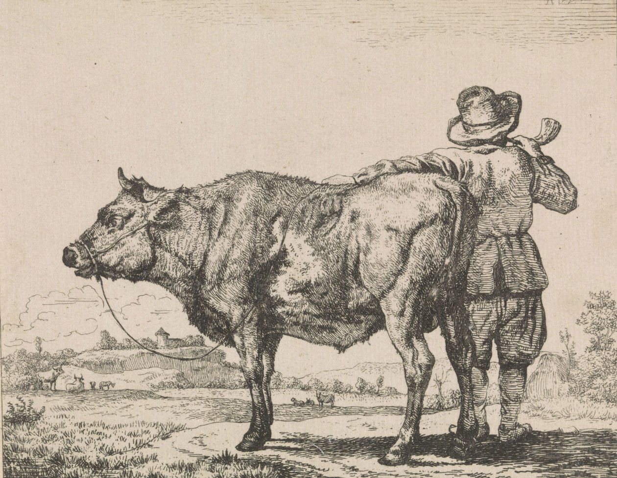 Homem, ficar, touro de Adriaen van de Velde