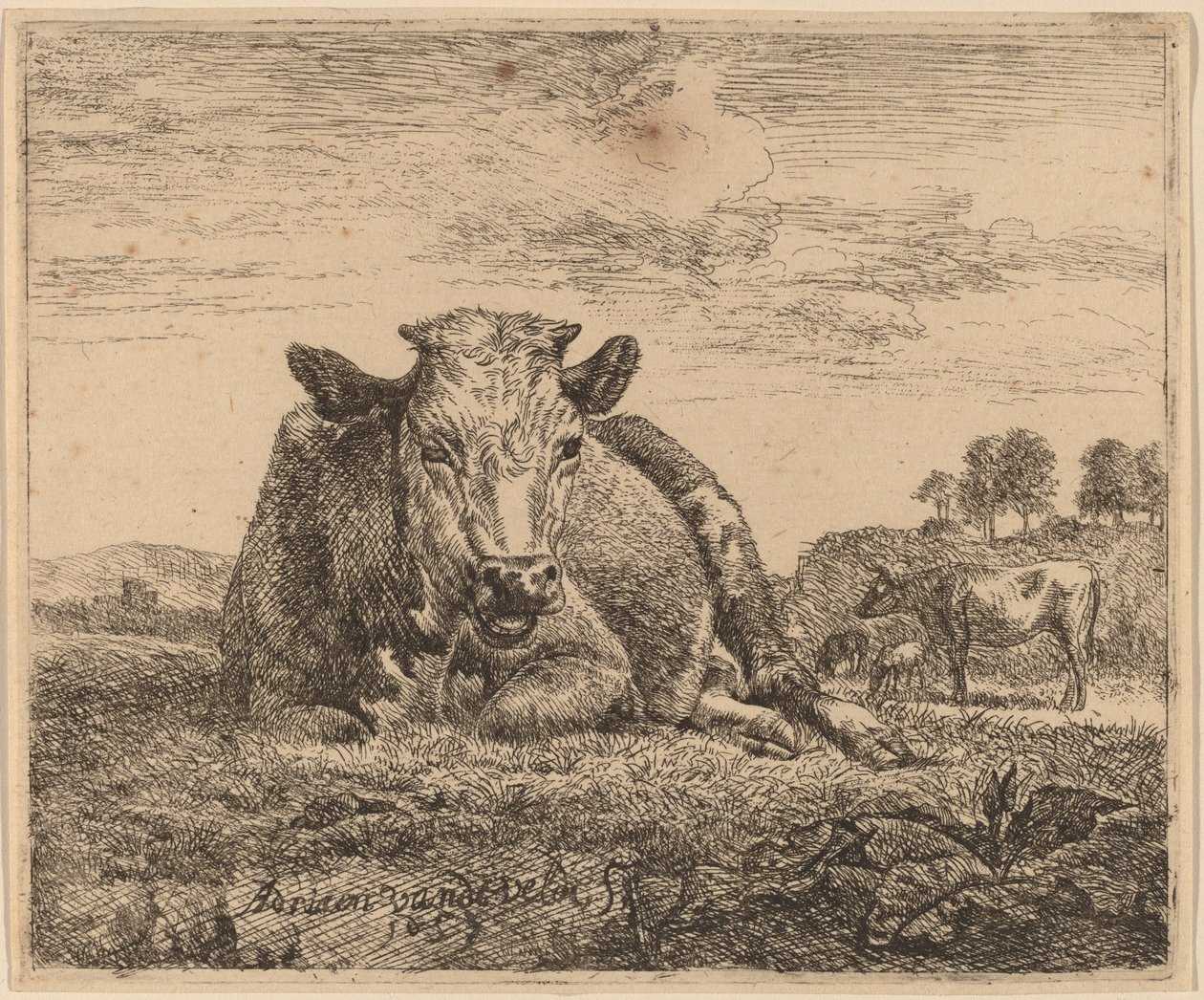 Vaca Reclinada de Adriaen van de Velde