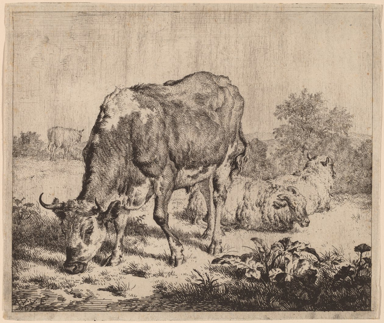 Touro malhado e três ovelhas de Adriaen van de Velde
