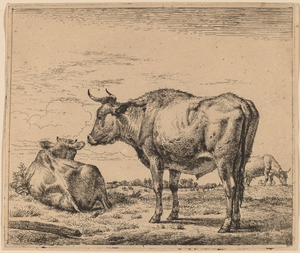 Touro de Pé de Adriaen van de Velde