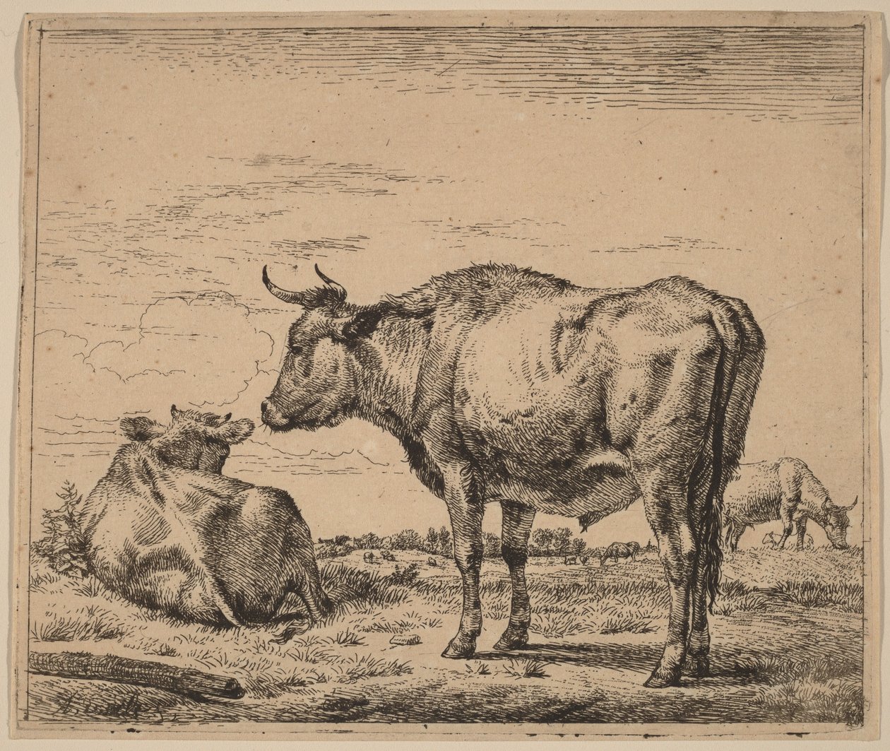 Touro de pé de Adriaen van de Velde