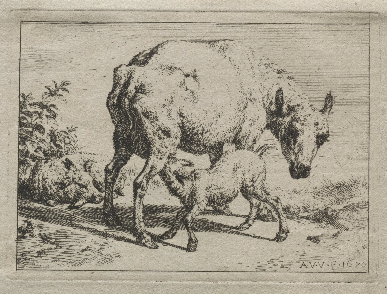 A ovelha e dois cordeiros de Adriaen van de Velde