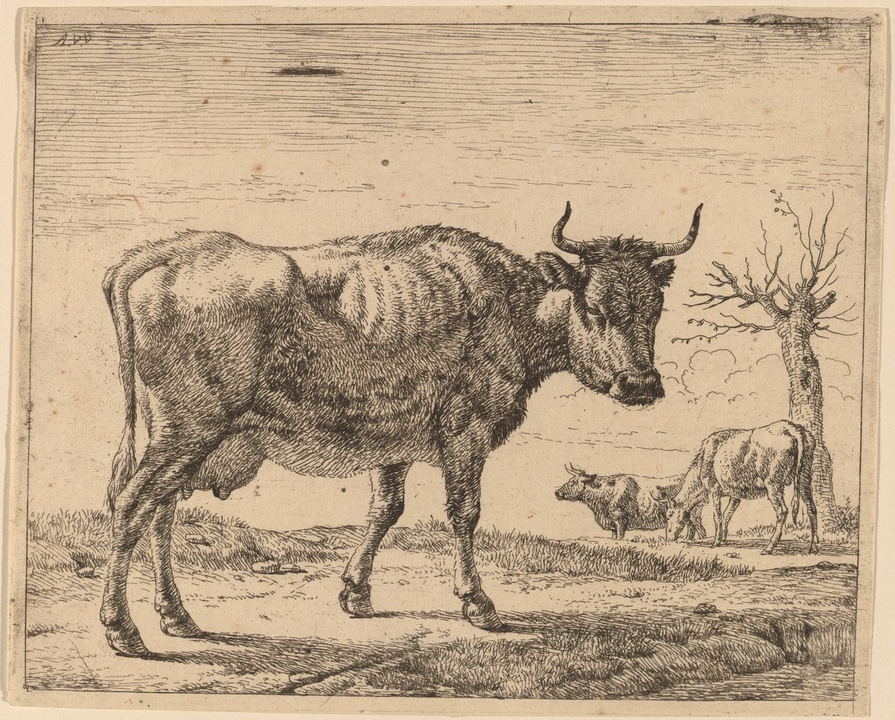 Três Vacas de Adriaen van de Velde