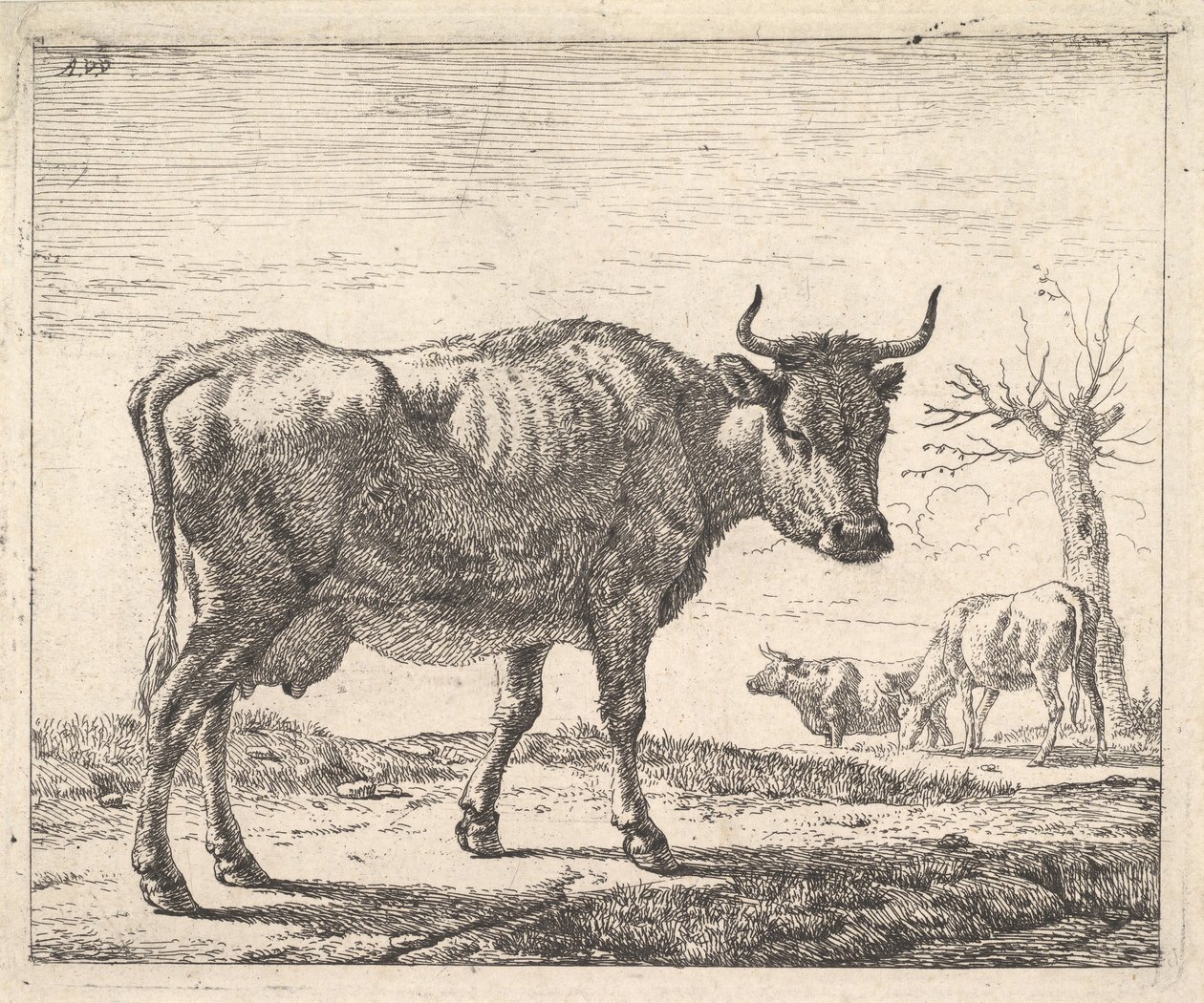 Três vacas. de Adriaen van de Velde