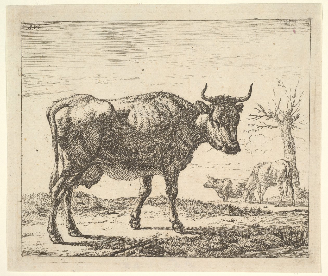 Três vacas, de diferentes animais. de Adriaen van de Velde
