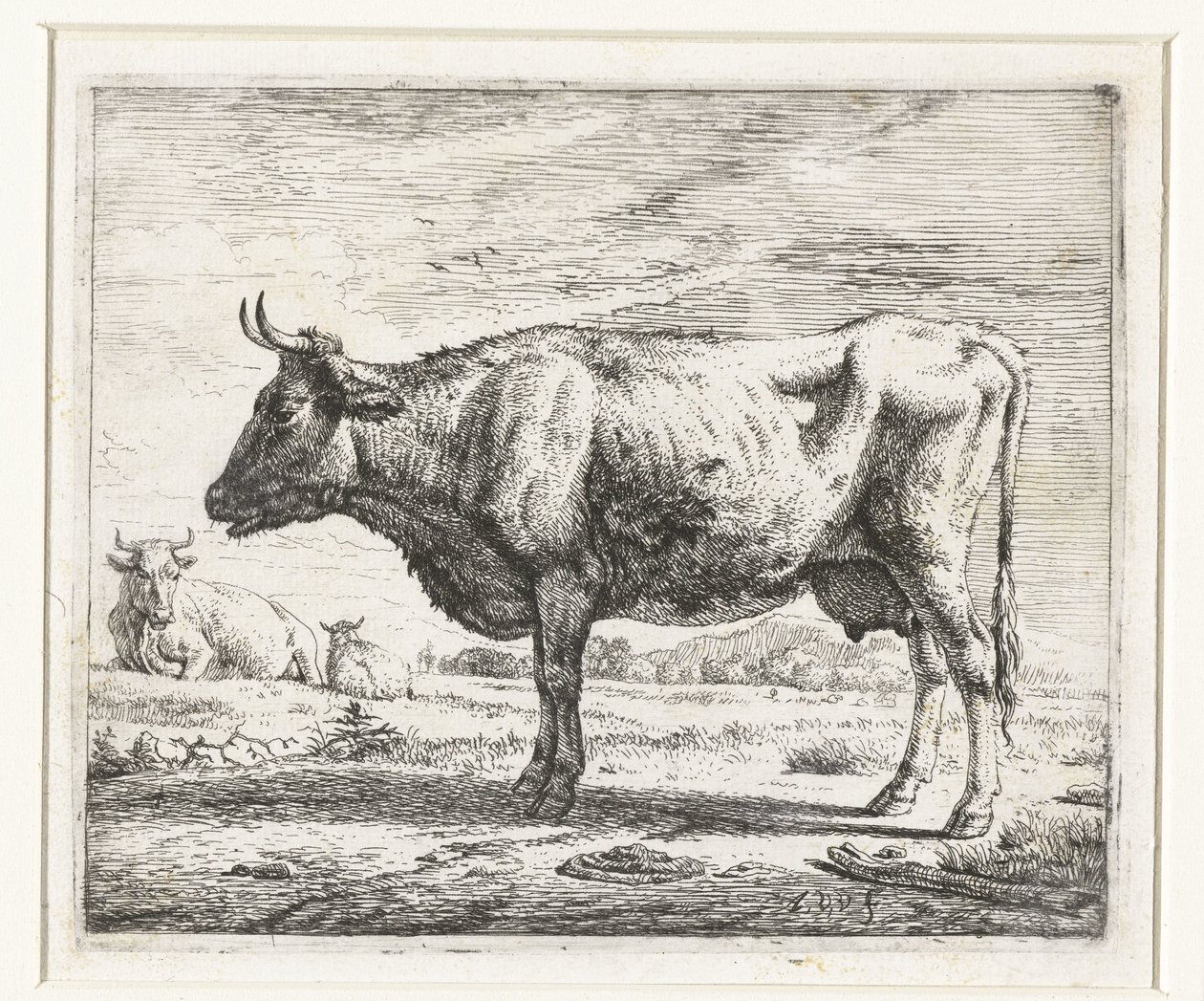 Duas vacas e uma ovelha
Vários animais (título da série) de Adriaen van de Velde
