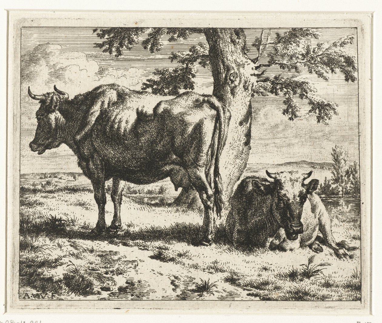 Duas vacas debaixo de uma árvore
Vacas e ovelhas (título da série) de Adriaen van de Velde
