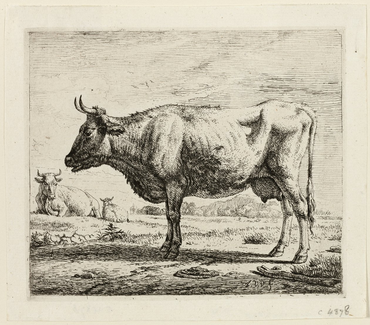 Duas vacas e uma ovelha de Adriaen van de Velde