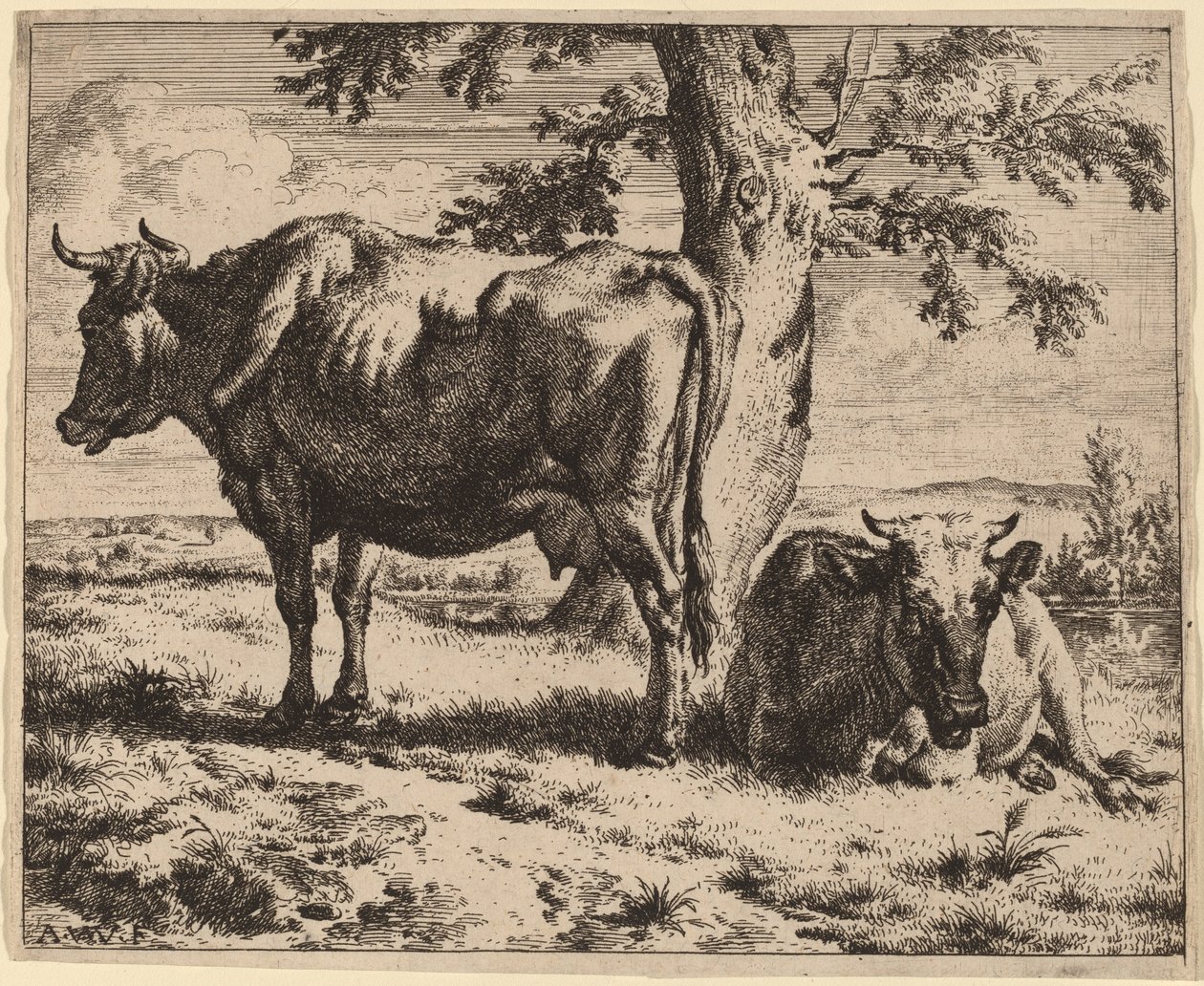 Duas vacas debaixo de uma árvore de Adriaen van de Velde