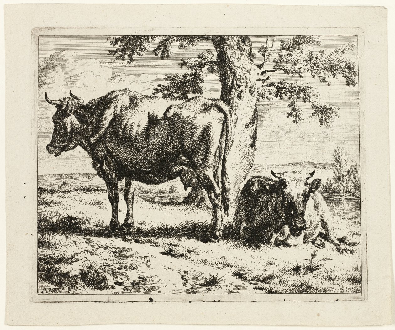 Duas vacas debaixo de uma árvore de Adriaen van de Velde